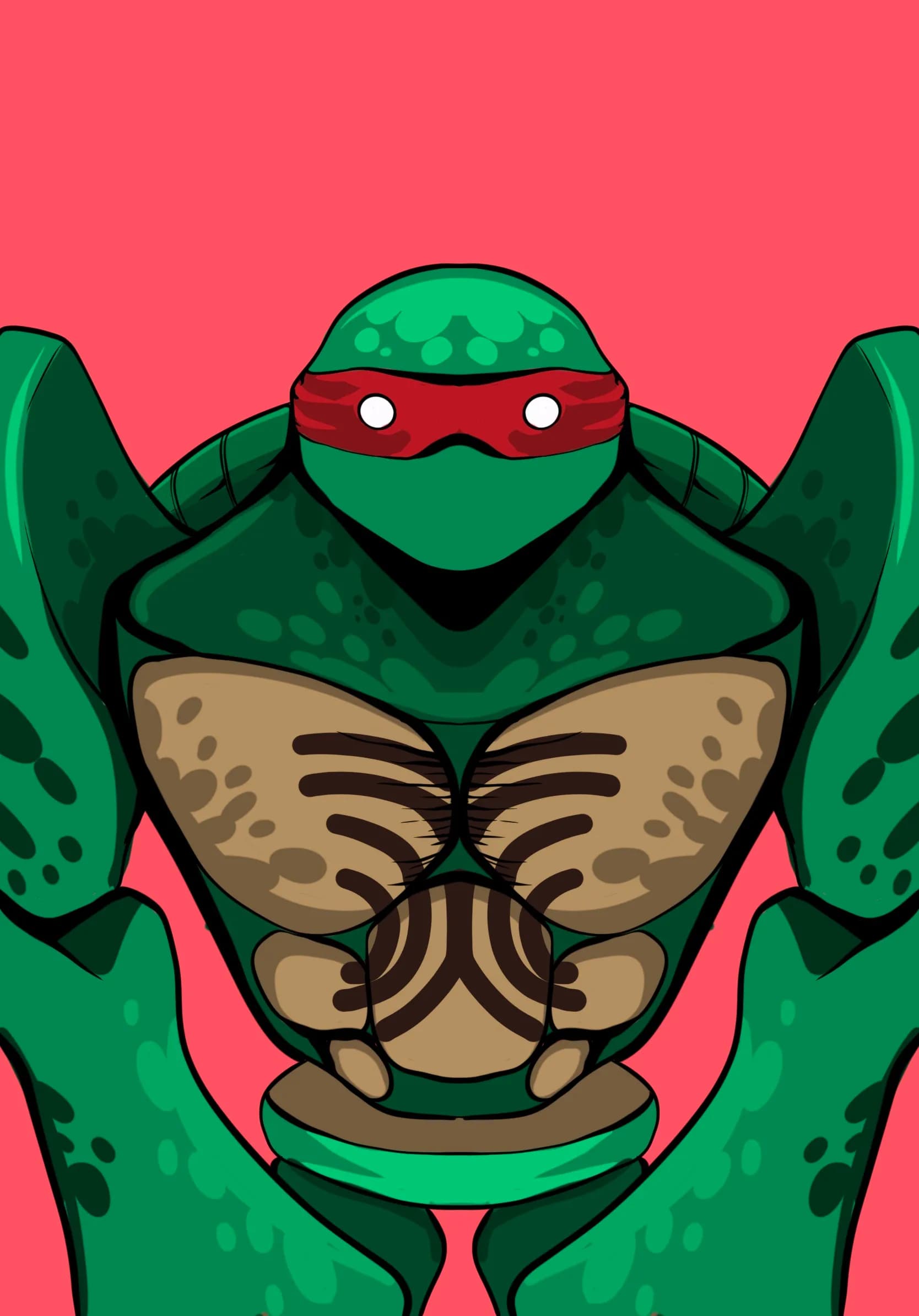 Teenage Mutant Ninja Rocky